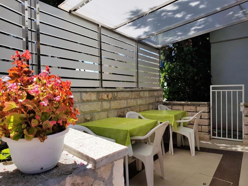 Rooms Magnolia With Pool Novalja Εξωτερικό φωτογραφία